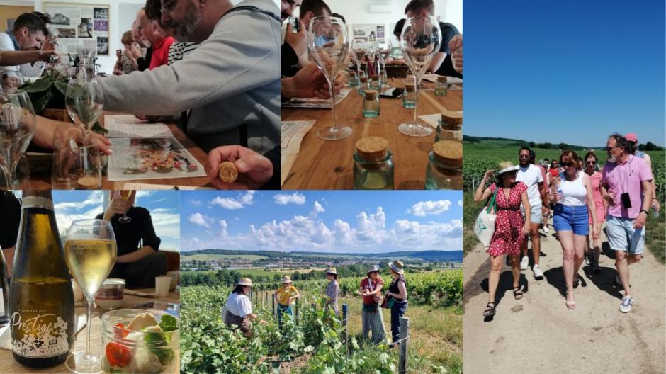 escapade en champagne avec ateliers, balade et dégustations de champagnes